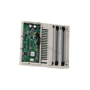 170AAO12000 | Schneider 4-Channel Analog Output Module